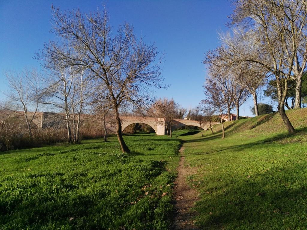Newly Renovated Large Villa With Garden Castello  D'Empuries Zewnętrze zdjęcie